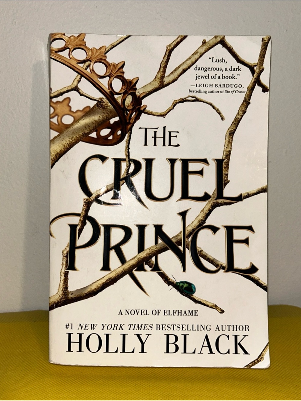 The Cruel Prince (Volume 1) (The Folk of the Air